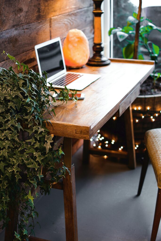 Remote Jobs That Pay Well No Experience