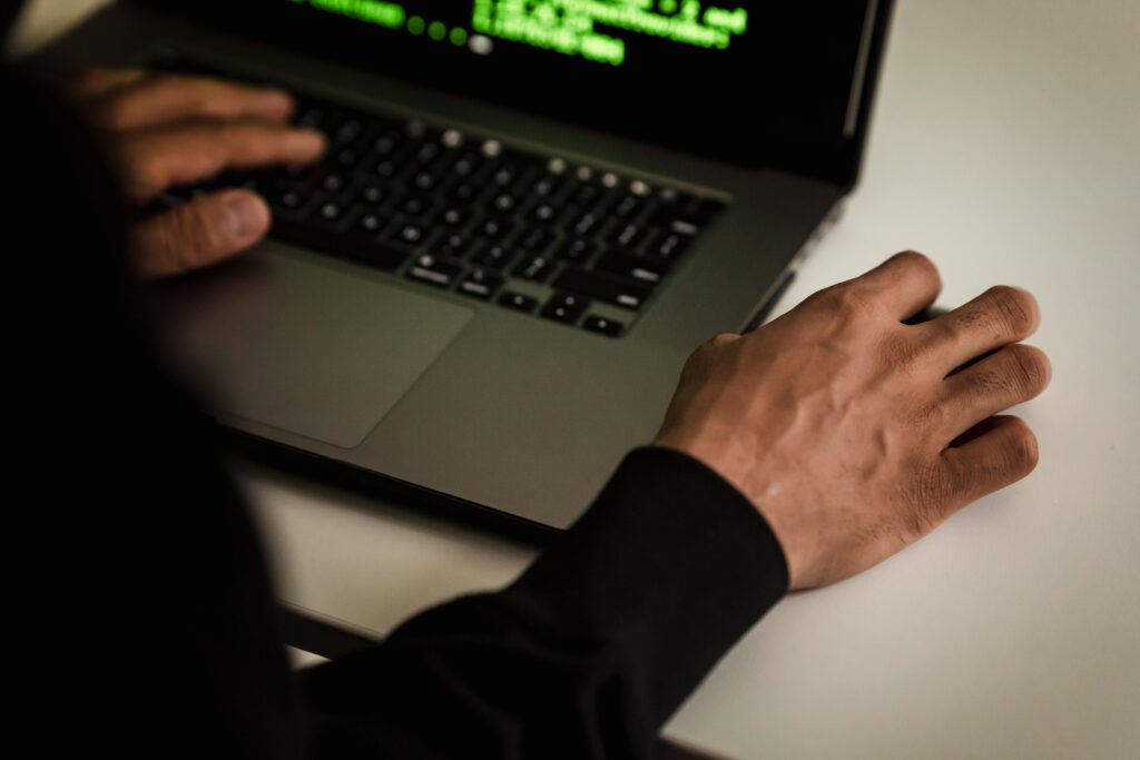 Freelance Web Developer
